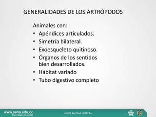 GENERALIDADES DE LOS ARTRÓPODOS
Animales con:
• Apéndices articulados.
• Simetría bilateral.
• Exoesqueleto quitinoso.
• Órganos de los sentidos
bien desarrollados.
• Hábitat variado
• Tubo digestivo completo
JAVIER PALOMÁ HERRERA
 