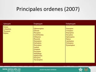 Principales ordenes (2007)
JAVIER PALOMÁ HERRERA
 
