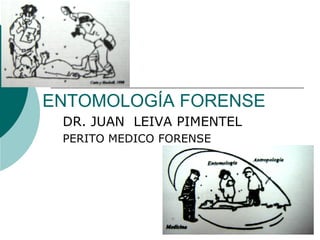 ENTOMOLOGÍA FORENSE
 DR. JUAN LEIVA PIMENTEL
 PERITO MEDICO FORENSE
 