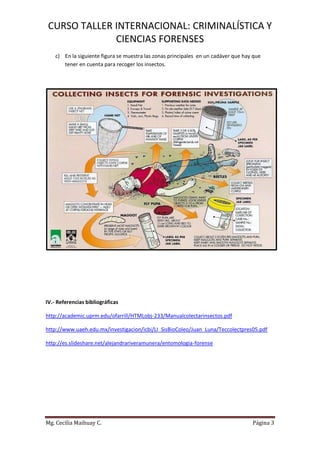 CURSO TALLER INTERNACIONAL: CRIMINALÍSTICA Y 
CIENCIAS FORENSES 
Mg. Cecilia Maihuay C. Página 3 
c) En la siguiente figura se muestra las zonas principales en un cadáver que hay que tener en cuenta para recoger los insectos. 
IV.- Referencias bibliográficas 
http://academic.uprm.edu/ofarrill/HTMLobj-233/Manualcolectarinsectos.pdf 
http://www.uaeh.edu.mx/investigacion/icbi/LI_SisBioColeo/Juan_Luna/Teccolectpres05.pdf 
http://es.slideshare.net/alejandrariveramunera/entomologia-forense 
