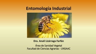 Área de Sanidad Vegetal
Facultad de Ciencias Agrarias - UNSAAC
Dra. Analí Lizárraga Farfán
Entomología Industrial
 