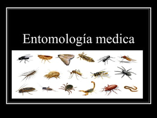Entomología medica
 