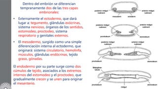 Entomología_Presentación_ET07_C.pptx
