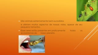  São animais extremamente bem-sucedidos
e afetam muitos aspectos de nossas vidas, apesar de seu
pequeno tamanho.
 Esses seres estão presentes em praticamente todos os
ecossistemas do nosso planeta.
 