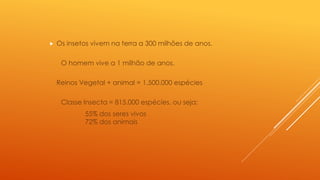  Os insetos vivem na terra a 300 milhões de anos.
O homem vive a 1 milhão de anos.
Reinos Vegetal + animal = 1.500.000 espécies
Classe Insecta = 815.000 espécies, ou seja:
55% dos seres vivos
72% dos animais
 