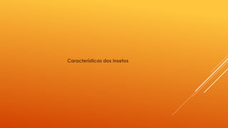 Características dos insetos
 