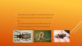  Acredita-se que sejam conhecidas mais de
um milhão de espécies de insetos hoje em
dia.
 As espécies descritas são distribuídas de
maneira desigual entre grandes grupos
chamados de ordens.
 