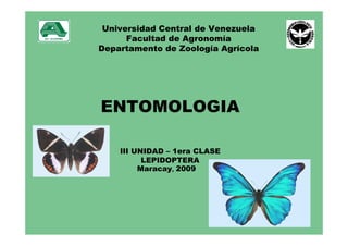 Universidad Central de Venezuela
Facultad de Agronomía
Departamento de Zoología Agrícola
ENTOMOLOGIA
III UNIDAD – 1era CLASE
LEPIDOPTERA
Maracay, 2009
 
