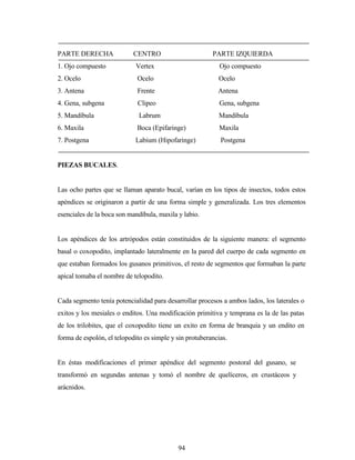 Entomologia morfologia-y-fisiologia-de-los-insectos-un | PDF