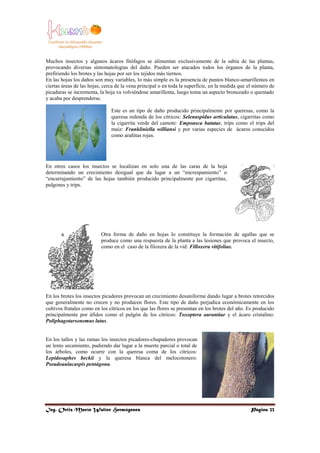 Ing. Ortiz Marín Walter Hermógenes Página 33
Muchos insectos y algunos ácaros fitófagos se alimentan exclusivamente de la ...