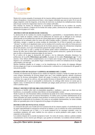 Ing. Ortiz Marín Walter Hermógenes Página 39
Dentro de la misma campaña el incremento de los insectos dañinos puede favore...