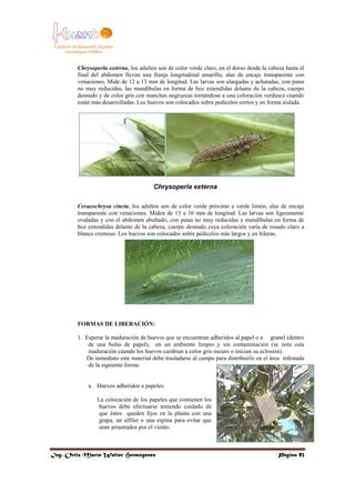Entomologia (1)