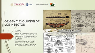 ENTOMOLOGIA 2.0.pptxhhjdjdnnsjdjdjdnjdjdjd | PPTX