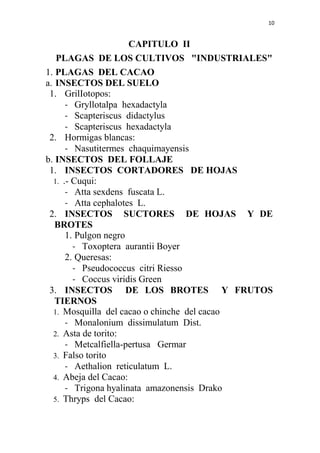10
CAPITULO II
PLAGAS DE LOS CULTIVOS "INDUSTRIALES"
1. PLAGAS DEL CACAO
a. INSECTOS DEL SUELO
1. GrilIotopos:
- Gryllotal...