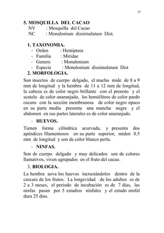 17
5. MOSQUILLA DEL CACAO
NV : Mosquilla del Cacao
NC : Monalonium dissirnulatum Dist.
1. TAXONOMIA.
- Orden : Hemiptera
-...