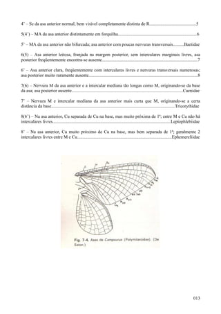 013
4’ – Sc da asa anterior normal, bem visível completamente distinta de R..........................................5
5(4’) – MA da asa anterior distintamente em forquilha.......................................................................6
5’ – MA da asa anterior não bifurcada; asa anterior com poucas nervuras transversais..........Baetidae
6(5) – Asa anterior leitosa, franjada na margem posterior, sem intercalares marginais livres, asa
posterior freqüentemente encontra-se ausente......................................................................................7
6’ – Asa anterior clara, freqüentemente com intercalares livres e nervuras transversais numerosas;
asa posterior muito raramente ausente..................................................................................................8
7(6) – Nervura M da asa anterior e a intercalar mediana tão longas como M, originando-se da base
da asa; asa posterior ausente....................................................................................................Caenidae
7’ – Nervura M e intercalar mediana da asa anterior mais curta que M, originando-se a certa
distância da base...............................................................................................................Tricorythidae
8(6’) – Na asa anterior, Cu separada de Cu na base, mas muito próxima de 1ª; entre M e Cu não há
intercalares livres..........................................................................................................Leptophlebiidae
8’ – Na asa anterior, Cu muito próximo de Cu na base, mas bem separada de 1ª; geralmente 2
intercalares livres entre M e Cu.....................................................................................Ephemereliidae
 