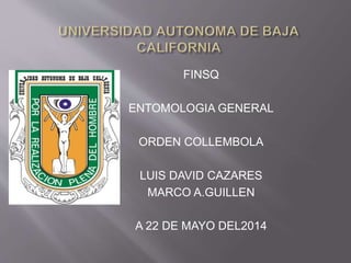 FINSQ
ENTOMOLOGIA GENERAL
ORDEN COLLEMBOLA
LUIS DAVID CAZARES
MARCO A.GUILLEN
A 22 DE MAYO DEL2014
 