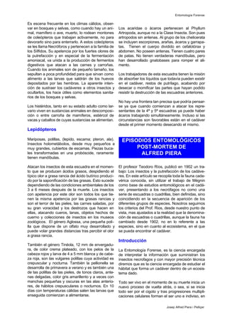 Es escena frecuente en los climas cálidos, obser-
var en bosques y selvas, como cuando hay un ani-
mal, mamífero o ave, muerto, lo rodean montones
de coleópteros que trabajan activamente, no para
devorarlo sino para enterrarlo. A estos coleópteros
se les llama Necróforos y pertenecen a la familia de
los Sílfidos. Su apetencia por los fuertes olores de
la putrefacción y en especial de la fermentación
amoniacal, va unida a la producción de fermentos
digestivos que atacan a las carnes y carroñas.
Cuando los animales son de pequeño tamaño, los
sepultan a poca profundidad para que sirvan como
alimento a las larvas que saldrán de los huevos
depositados por las hembras. La aparente inten-
ción de sustraer los cadáveres a otros insectos y
ocultarlos, los hace útiles como elementos sanita-
rios de los bosques y selvas.
Los histéridos, tanto en su estado adulto como lar-
vario viven en sustancias animales en descomposi-
ción o entre carroña de mamíferos, estiércol de
vacas y caballos de cuyas sustancias se alimentan.
Lepidópteros
Mariposas, polillas, (lepido, escama; pteron, ala).
Insectos holometábolos, desde muy pequeños a
muy grandes, cubiertos de escamas. Piezas buca-
les transformadas en una probóscide, raramente
tienen mandíbulas.
Atacan los insectos de esta escuadra en el momen-
to que se producen ácidos grasos, despidiendo el
típico olor a grasa rancia del ácido butírico produci-
do por la saponificación de las grasas. Esto sucede
dependiendo de las condiciones ambientales de los
3 a 6 meses después de la muerte. Los insectos
con apetencia por este olor son todos los que tie-
nen la misma apetencia por las grasas rancias y
son el terror de las pieles, las carnes saladas, por
su gran voracidad y los destrozos que hacen en
ellas, atacando cueros, lanas, objetos hechos de
cuerno y colecciones de insectos en los museos
zoológicos. El género Aglossa, una pequeña poli-
lla que dispone de un olfato muy desarrollado y
puede volar grandes distancias tras percibir el olor
a grasa rancia.
También el género Tinéola, 12 mm de envergadu-
ra, de color crema plateado, con los pelos de la
cabeza rojos y larva de 4 a 5 mm blanca y de cabe-
za roja, son las vulgares polillas cuya actividad es
crepuscular y nocturna. También la pellionella se
desarrolla de primavera a verano y es también una
de las polillas de las pieles, de tonos claros, ante-
nas delgadas, color gris amarillento y a veces con
manchas pequeñas y oscuras en las alas anterio-
res, de hábitos crepusculares o nocturnos. En 10
días con temperaturas cálidas salen las larvas que
enseguida comienzan a alimentarse.
Los acaridae o ácaros pertenecen al Phyllum
Artropoda, aunque no a la Clase Insecta. Son pues
artropodos sin antenas. Al grupo de los chelicerata
se incluyen escorpiones, arañas, ácaros y garrapa-
tas. Tienen el cuerpo dividido en cefalotórax y
abdomen. No poseen antenas. Tienen cuatro pares
de patas. No tienen verdaderas mandíbulas, pero
han desarrollado gnatobases para romper el ali-
mento.
Los trabajadores de esta escuadra tienen la misión
de absorber los líquidos que todavía pueden existir
en el cadáver, restos de putrílago, acabando por
desecar o momificar las partes que hayan podido
resistir la destrucción de las escuadras anteriores.
No hay una frontera tan precisa que podría pensar-
se ya que cuando comienzan a atacar los repre-
sentantes de la 4ª y 5ª escuadras ya puede haber
ácaros trabajando simultáneamente. Incluso si las
circunstancias son favorables están en el cadáver
desde el primer momento desecando el mismo.
El profesor Teodoro Ríos, publicó en 1902 un tra-
bajo: Los insectos y la putrefacción de los cadáve-
res. En este artículo se recopila toda la fauna cada-
vérica conocida, sin utilizar el trabajo de Mégnin
como base de estudios entomológicos en el cadá-
ver, presentando a los necrófagos no como una
serie de escuadras o cuadrillas, bien definidas, sino
coincidiendo en la secuencia de aparición de los
diferentes grupos de especies. Nosotros seguimos
los criterios del Prof. Rios, desde nuestro punto de
vista, mas ajustados a la realidad que la denomina-
ción de escuadras o cuadrillas, aunque la fauna ha
cambiado desde 1902, no en lo referente a las
especies, sino en cuanto al ecosistema, en el que
se pueda encontrar el cadáver.
Introducción
La Entomología Forense, es la ciencia encargada
de interpretar la información que suministran los
insectos necrofagos y con mayor precisión técnica
diremos que es la ciencia encargada de estudiar el
hábitat que forma un cadáver dentro de un ecosis-
tema dado.
Todo ser vivo en el momento de su muerte inicia un
nuevo proceso de vuelta atrás, o sea, si se inicia
todo ser por el cigoto y tras progresiones multipli-
caciones celulares forman el ser uno e indiviso, en
EPISODIOS ENTOMOLÓGICOS
POST-MORTEM DE
ALFRED PIERA
Entomología Forense
Josep Alfred Piera i Pelliçer
 