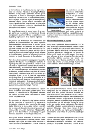 el momento de la muerte ocurre una regresión, o
sea, ese ser uno e indiviso se descompone fraccio-
nandose en las partes o elementos iniciales que lo
componen, el resto se desintegra gradualmente
hasta que sus estructuras ya no son reconocibles y
sus complejas moléculas orgánicas se hayan frag-
mentado. Según Putman este es un proceso que
comporta la liberación de energía y la mineraliza-
ción de los nutrientes químicos, convirtiendo los
elementos orgánicos en inorgánicos.
En este claro proceso de conservación de la ener-
gía es lo que conocemos como proceso de des-
composición, que lo dividimos en dos fases: des-
trucción y degradación de la materia orgánica.
El proceso de destrucción es característico por
producir el fraccionamiento del resto orgánico
mediante medios mecánicos de tal manera que al
final del proceso se obtienen las partículas de
pequeño tamaño, para dar paso a la degradación.
El proceso de destrucción puede ser bien directa-
mente al descomponerse el cadáver acude la fauna
entomológica para producir el adecuado fracciona-
miento y se pueda dar paso a la degradación.
Pero también en ocasiones estos pasos no existen
de forma directa, sino por medio de los animales de
rapiña que pueden, en épocas frias, utilizar el cadá-
ver para su supervivencia como si de un animal de
caza se tratara y se convertirían en los excremen-
tos de sistemas digestivos de carnivoros- por cier-
to sistemas muy evolucionados y difícil de obtener
hallazgos.En los procesos de descomposición pro-
piamente dichos, es en la fase de destrucción
donde interviene la entomología cadavérica y es
donde se ha creado toda una ciencia de comporta-
miento de los insectos y de descomposición de los
cadávers, teniendo en cuenta los efectos abióticos
que denominados Entomología Forense.
La Entomología forense está encaminada a deter-
minar el intervalo post morten, posible causa de la
muerte y la identificación de los posibles traslados
del cuerpo, así como de las características de las
zonas de procedencia.
En conclusión, la información que pueden suminis-
trar los insectos a la investigación es sumamente
importante; establecer si un cuerpo ha sido trasla-
dado, determinar el tiempo post mortem e identifi-
car la presencia de determinados compuestos quí-
micos, entre otros, son elementos indispensables
para el buen desarrollo de una investigación, per-
mitiendo reconstruir la cronología del suceso.
Para poder realizar esta tarea es necesario tener
un conocimiento detallado del ciclo de vida de las
especies necrófagas, así como de las modificacio-
nes que sufren sus respectivos ciclos de vida ante
las variaciones de las
condiciones ambientales
(temperatura y hume-
dad) en las que se des-
arrollaron. Teniendo
siempre presente que los
recursos tróficos dentro
de un cadáver varían
geográficamente, ya que
a excepción de algunas
especies cosmopolitas,
cada región presenta su
propia entomofauna necrófaga especializada, aun-
que los niveles taxonómicos superiores se mantie-
nen constantes.
Principales animales de rapiña
Así pues si conocemos detalladamente el ciclo de
vida y el comportamiento de estos insectos podre-
mos, a tenor de la zona geográfica en cuestión y de
la éopoca del año, determinar los datos necesarios.
Teniendo además en cuenta que no siempre la
Entomología puede sernos útil, existen circunstan-
cias adversas a tener en cuenta. Por ejemplo, la
Península Ibérica ademas de tener una
Entomofauna muy diversa, es diferente en las pro-
vincias de Almería y Lérida, siendo mucho más
acentuada esta diferencia en la etapa invernal.
Un cadáver en invierno en Almería puede ser des-
compuesto por los insectos de la zona, que de
forma más lenta que en los meses estivales ten-
drán su actuación; pero podrán actuar. En cambio,
en la Provincia de Lérida y más concreto en la zona
del Pirineo resultará prácticamente imposible su
actuación; es más, probablemente será descubier-
to el cadáver por los animales de rapiña mucho
antes que puedan actuar los insectos. Es evidente
que el frio retardará considerablemente la descom-
posición del cuerpo y dará mayor margen de tiem-
po a los animales de rapiña para localizarlo y
actuar como si se tratara de un animal cazado por
ellos.
También en este último ejemplo cabría la posibili-
dad de pensar en alguna excepción. Si el cadáver
estuviera situado cerca de alguna casa habitada,
protegido de posibles ventiscas y durante el día
Entomología Forense
Josep Alfred Piera i Pelliçer
Paisaje de ambas provin-
cias en invierno
 