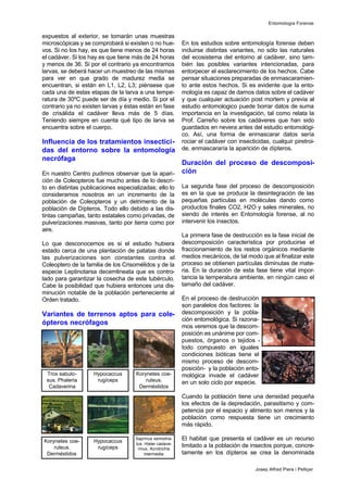 expuestos al exterior, se tomarán unas muestras
microscópicas y se comprobará si existen o no hue-
vos. Si no los hay, es que tiene menos de 24 horas
el cadáver. Si los hay es que tiene más de 24 horas
y menos de 36. Si por el contrario ya encontramos
larvas, se deberá hacer un muestreo de las mismas
para ver en que grado de madurez media se
encuentran, si están en L1, L2, L3; piénsese que
cada una de estas etapas de la larva a una tempe-
ratura de 30ºC puede ser de día y medio. Si por el
contrario ya no existen larvas y éstas están en fase
de crisálida el cadáver lleva más de 5 días.
Teniendo siempre en cuenta qué tipo de larva se
encuentra sobre el cuerpo.
Influencia de los tratamientos insectici-
das del entorno sobre la entomología
necrófaga
En nuestro Centro pudimos observar que la apari-
ción de Coleopteros fue mucho antes de lo descri-
to en distintas publicaciones especializadas; ello lo
consideramos nosotros en un incremento de la
población de Coleopteros y un detrimento de la
población de Dípteros. Todo ello debido a las dis-
tintas campañas, tanto estatales como privadas, de
pulverizaciones masivas, tanto por tierra como por
aire.
Lo que desconocemos es si el estudio hubiera
estado cerca de una plantación de patatas donde
las pulverizaciones son constantes contra el
Coleoptero de la familia de los Crisomélidos y de la
especie Leptinotarsa decemlineata que es contro-
lado para garantizar la cosecha de este tubérculo.
Cabe la posibilidad que hubiera entonces una dis-
minución notable de la población perteneciente al
Orden tratado.
Variantes de terrenos aptos para cole-
ópteros necrófagos
En los estudios sobre entomología forense deben
incluirse distintas variantes, no sólo las naturales
del ecosistema del entorno al cadáver, sino tam-
bién las posibles variantes intencionadas, para
entorpecer el esclarecimiento de los hechos. Cabe
pensar situaciones preparadas de enmascaramien-
to ante estos hechos. Si es evidente que la ento-
mología es capaz de darnos datos sobre el cadáver
y que cualquier actuación post mortem y previa al
estudio entomologico puede borrar datos de suma
importancia en la investigación, tal como relata la
Prof. Carreño sobre los cadáveres que han sido
guardados en nevera antes del estudio entomológi-
co. Así, una forma de enmascarar datos sería
rociar el cadáver con insecticidas, cualquir piretroi-
de, enmascararía la aparición de dípteros.
Duración del proceso de descomposi-
ción
La segunda fase del proceso de descomposición
es en la que se produce la desintegración de las
pequeñas partículas en moléculas dando como
productos finales CO2, H2O y sales minerales, no
siendo de interés en Entomología forense, al no
intervenir los insectos.
La primera fase de destrucción es la fase inicial de
descomposición característica por producirse el
fraccionamiento de los restos orgánicos mediante
medios mecánicos, de tal modo que al finalizar este
proceso se obtienen partículas diminutas de mate-
ria. En la duración de esta fase tiene vital impor-
tancia la temperatura ambiente, en ningún caso el
tamaño del cadáver.
En el proceso de destrucción
son paralelos dos factores: la
descomposición y la pobla-
ción entomológica. Si razona-
mos veremos que la descom-
posición es unánime por com-
puestos, órganos o tejidos -
todo compuesto en iguales
condiciones bióticas tiene el
mismo proceso de descom-
posición- y la población ento-
mológica invade el cadáver
en un solo ciclo por especie.
Cuando la población tiene una densidad pequeña
los efectos de la depredación, parasitismo y com-
petencia por el espacio y alimento son menos y la
población como respuesta tiene un crecimiento
más rápido.
El habitat que presenta el cadáver es un recurso
limitado a la población de insectos porque, concre-
tamente en los dípteros se crea la denominada
Entomología Forense
Josep Alfred Piera i Pelliçer
Trox sabulo-
sus. Phaleria
Cadaverina
Hypocaccus
rugíceps
Korynetes coe-
ruleus.
Derméstidos
Korynetes coe-
ruleus.
Derméstidos
Hypocaccus
rugíceps
Saprinus semistria-
tus. Hister cadave-
rinus. Acrotrichis
intermedia
 