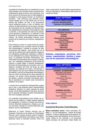 competencia intraespecífica por explotación ya que
cada individuo que compite recibe una parte apro-
ximadamente igual al recurso que disminuye y es
tal el número de indivíduos que no todos llegarán a
completar su ciclo porque nacerán, en condiciones
normales, más indivíduos que alimento exista.
Cabría resaltar que no solo tendrá que ver en el
tamaño del cadáver, es más, si se encontrarán
varios cadáveres juntos,v o sea, en idéntico eco-
sistema, al descomposición iría por igual, orquesta-
da únicamente por las variantes de factores bioti-
cos adaptándose los episídios entomológicos a ello
y varíando, a nivel general, tan sólo por la presen-
cia de parasitos y predadores. La variación a nivel
individual se produciría por determinadas caracte-
rísticas, -de interés entomología forense- como
pudiera ser la presencia de venenos, estupefacien-
tes, etc.
Otros factores a tener en cuenta serán los parási-
tos y predadores que si pueden mermar la pobla-
ción entomológica y retrasar el proceso de des-
composición del cadáver, como podría ser en el
caso de los dípteros los Lamprochernes nodosus y
los coleópteros estafilínidos, histéridos y sílfidos y
en los coleópteros los ácaros Poecilochirus necro-
phori. La predación del Orden Himenóptera, con-
cretamente los Subordenes de hormigas y avispas,
que son verdaderos predadores de las larvas de
dípteros y pueden llegar a hacerlas desaparecer;
las larvas de Sarcophaga se comportan como ver-
daderos caníbales del resto de larvas de otras
especies, en especial de Lucilia y Chrysoníyia; a
este respecto hay que hacer referencia a las larvas
de histérido, que son principalmente entomófagas y
sólo se nutren de las larvas de otras especies de
insectos. Los ácaros Varroa jacobsoni parasita a
las abejas y avispas causando importantes pérdi-
das en apicultura y en nuestro caso mermando la
población de avispas.
La teoría de la competencia interespecífica sugiere
que si dos o más especies tienen requerimientos
ecológicos idénticos no serán capaces de existir
juntas; una de ellas desalojará a las otras, de forma
que la especie triunfadora ocupará eventualmente
ese nicho ecológico particular.
Los episodios entomológicos post mortem se ini-
ciarán con los dípteros, a reglón seguido aparecer
los coleópteros y durante un tiempo convivirán en
ninchos diferentes coleopteros y dípteros, por últi-
mo convivirán, también en ninchos diferentes cole-
ópteros, ácaros y lepidópteros.
Referente al Orden Diptera diremos que el
Suborden Ciclorrafa es de interés en Entomología
Forense, como insectos directos sobre el cadáver,
aunque otros subordenes secundarios cuyo efecto
repercute sobre el suborden primario. Para una
mejor comprensión de este Orden esquematizare-
mos los Subordenes, desarrollando sólo el que nos
resulta de interés.
Ordenes, subordenes, secciones, divi-
siones, superfamilias, familias y espe-
cies de los episodios entomológicos
Orden dípteros
Superfamilia Muscoidea. Familia Múscidos.
Mosca doméstica menor. Fania canicularis. No
llega a 1 cm de embergadura , carece de trompa
picadora . Vuela en zigzag propio de la especie. En
los hogares suele volar alrededor de los focos lumi-
nosos, habita en las viviendas y se encuentra
desde principios de primavera hasta finales de
Entomología Forense
Josep Alfred Piera i Pelliçer
Orden DIPTEROS
Suborden NEMATOCEROS
Suborden BRAQUÍCEROS
Suborden CICLORRAFOS
- Asquizofos (Aschiza)
• Foridos
• Sirfidos
- Esquizoforos Acalipteros
• Drosofilidos
- Esquizoforos Calípteros
• Taquínidos
• Califóridos
• Múscidos
- Esquizoforos Puparios
CICLORRAFOS
Orden DIPTEROS
- DIVISIÓN SCHIZOPHORA -
SECCIÓN CALITRATE
- Superfamilia Muscoidea
• Múscidos
- Superfamilia Oestroidea
• Califóridos
• Sarcofágidos
SECCIÓN ACALYPTRATAE
- Superfamilia Sphydroidea
• Drosofílidos
- DIVISIÓN ASCHIZA -
- Superfamilia Sphydroidea
• Sírfidos
- Superfamilia Sphydroidea
• Fóridos
SUBORDEN CYCLORRHAPHA
 