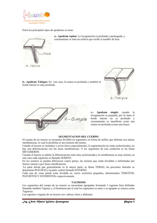Entomologia general | PDF