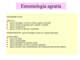 Entomologia generale
