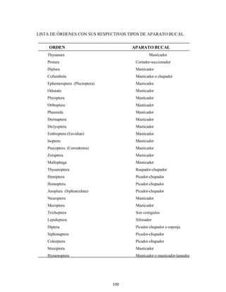 109
LISTA DE ÓRDENES CON SUS RESPECTIVOS TIPOS DE APARATO BUCAL.
ORDEN APARATO BUCAL
Thysanura Masticador
Protura Cortador-succionador
Diplura Masticador
Collembola Masticador o chupador
Ephemeroptera (Plectoptera) Masticador
Odonata Masticador
Plecoptera Masticador
Orthoptera Masticador
Phasmida Masticador
Dermaptera Masticador
Dictyoptera Masticador
Embioptera (Envidian) Masticador
Isoptera Masticador
Psocoptera (Corrodentia) Masticador
Zoraptera Masticador
Mallophaga Masticador
Thysanoptera Raspador-chupador
Hemiptera Picador-chupador
Homoptera Picador-chupador
Anoplura (Siphunculata) Picador-chupador
Neuroptera Masticador
Mecoptera Masticador
Trichoptera Son vestigiales
Lepidoptera Sifonador
Diptera Picador-chupador o esponja
Siphonaptera Picador-chupador
Coleoptera Picador-chupador
Stresiptera Masticador
Hymenoptera Masticador o masticador-lamedor
 