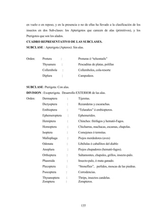 135
en vuelo o en reposo, y en la presencia o no de ellas ha llevado a la clasificación de los
insectos en dos Sub-clases: los Apterigotos que carecen de alas (primitivos), y los
Pterigotos que son los alados.
CUADRO REPRESENTATIVO DE LAS SUBCLASES.
SUBCLASE : Apterigota (Apteros): Sin alas.
Orden: Protura : Proturas ó “telsontails”
Thysanura : Pescaditas de platas, polillas
Collembola : Collembolos, cola-resorte
Diplura : Campodeos.
SUBCLASE: Pterigota: Con alas.
DIVISION : Exopterigota. Desarrollo EXTERIOR de las alas.
Orden: Dermaptera : Tijeretas.
Dictyoptera : Rezanderas y cucarachas.
Embioptera : “Telaraños” ó embiopteros.
Ephemeroptera : Ephemeridos.
Hemiptera : Chinches: fitófagos y hemató-Fagos.
Homoptera : Chicharras, machacas, escamas, chapolas.
Isoptera : Comejenes ó termitas.
Mallophaga : Piojos mordedores (aves)
Odonata : Libélulas ó caballitos del diablo
Anoplura : Piojos chupadores (hemató-fagos).
Orthoptera : Saltamontes, chapules, grillos, insecto-palo.
Phasmida : Insecto-palo, ó mata ganado.
Plecoptera : “Stoneflies”, perlidos, moscas de las piedras.
Psocoptera : Corrodencias.
Thysanoptera : Thrips, insectos candelas.
Zoraptera : Zorapteros.
 