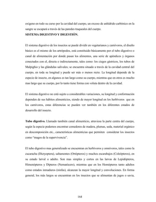 164
oxígeno en todo su curso por la cavidad del cuerpo, un exceso de anhídrido carbónico en la
sangre se escapará a través de las paredes traqueales del cuerpo.
SISTEMA DIGESTIVO Y DIGESTIÓN.
El sistema digestivo de los insectos se puede dividir en vegetarianos y carnívoros, el diseño
básico es el mismo de los artrópodos, está constituido básicamente por el tubo digestivo o
canal de alimentación por donde pasan los alimentos, una serie de apéndices y órganos
conectados con el, directa o indirectamente, tales como: los ciegos gástricos, los tubos de
Malpighio y las glándulas salivales; se encuentra situado a través de la cavidad central del
cuerpo, en toda su longitud y puede ser más o menos recto. La longitud depende de la
especie de insecto, en algunos es tan largo como su cuerpo, mientras que en otros es mucho
mas largo que su cuerpo, por lo tanto tiene forma con voluta dentro de la cavidad.
El sistema digestivo no está sujeto a considerables variaciones, su longitud y conformación
dependen de sus hábitos alimenticios, siendo de mayor longitud en los herbívoros que en
los carnívoros, estas diferencias se pueden ver también en los diferentes estados de
desarrollo del insecto.
Tubo digestivo. Llamado también canal alimenticio, atraviesa la parte centra del cuerpo,
según la especie podemos encontrar comedores de madera, plumas, seda, material orgánico
en descomposición etc., características alimenticias que permiten considerar los insectos
como “magos de la supervivencia”.
El tubo digestivo mas generalizado se encuentran en herbívoros y omnívoros, tales como la
cucaracha (Dictyoptera), saltamontes (Ortópteros) y muchos escarabajos (Coleópteros), en
su estado larval o adulto. Son mas simples y cortos en las larvas de Lepidópteros,
Himenópteros y Dípteros (Nematócero), mientras que en los Homópteros tanto adultos
como estados inmaduros (ninfas), alcanzan la mayor longitud y convoluciones. En forma
general, los más largos se encuentran en los insectos que se alimentan de jugos o savia,
 