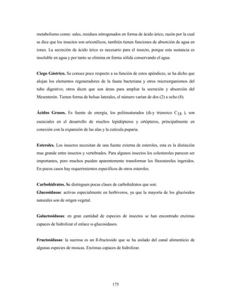 175
metabolismo como: sales, residuos nitrogenados en forma de ácido úrico, razón por la cual
se dice que los insectos son uricotélicos, también tienen funciones de absorción de agua en
iones. La secreción de ácido úrico es necesario para el insecto, porque esta sustancia es
insoluble en agua y por tanto se elimina en forma sólida conservando el agua.
Ciego Gástrico. Se conoce poco respecto a su función de estos apéndices, se ha dicho que
alojan los elementos regeneradores de la fauna bacteriana y otros microorganismos del
tubo digestivo; otros dicen que son áreas para ampliar la secreción y absorción del
Mesenterón. Tienen forma de bolsas laterales, el número varían de dos (2) a ocho (8).
Ácidos Grasos. Es fuente de energía, los poliinsaturados (di-y trienoico C18 ), son
esenciales en el desarrollo de muchos lepidópteros y ortópteros, principalmente en
conexión con la expansión de las alas y la cutícula puparia.
Esteroles. Los insectos necesitan de una fuente externa de esteroles, esta es la distinción
mas grande entre insectos y vertebrados. Para algunos insectos los colesteroles parecen ser
importantes, pero muchos pueden aparentemente transformar los fitoesteroles ingeridos.
En pocos casos hay requerimientos específicos de otros esteroles.
Carbohidratos. Se distinguen pocas clases de carbohidratos que son:
Glucosidasas: activas especialmente en herbívoros, ya que la mayoría de los glucósidos
naturales son de origen vegetal.
Galactosidasas: en gran cantidad de especies de insectos se han encontrado enzimas
capaces de hidrolizar el enlace -glucosidasos.
Fructosidasas: la sucrosa es un ß-fructosido que se ha aislado del canal alimenticio de
algunas especies de moscas. Enzimas capaces de hidrolizar.
 