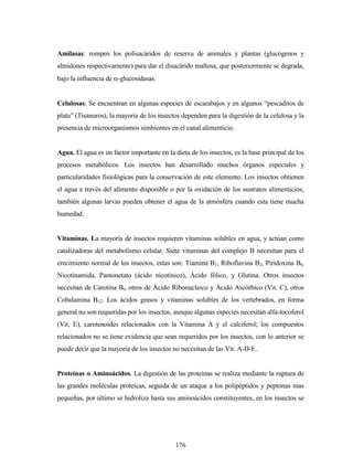176
Amilasas: rompen los polisacáridos de reserva de animales y plantas (glucógenos y
almidones respectivamente) para dar el disacárido maltosa, que posteriormente se degrada,
bajo la influencia de -glucosidasas.
Celulosas: Se encuentran en algunas especies de escarabajos y en algunos “pescaditos de
plata” (Tisanuros), la mayoría de los insectos dependen para la digestión de la celulosa y la
presencia de microorganismos simbiontes en el canal alimenticio.
Agua. El agua es un factor importante en la dieta de los insectos, es la base principal de los
procesos metabólicos. Los insectos han desarrollado muchos órganos especiales y
particularidades fisiológicas para la conservación de este elemento. Los insectos obtienen
el agua a través del alimento disponible o por la oxidación de los sustratos alimenticios;
también algunas larvas pueden obtener el agua de la atmósfera cuando esta tiene mucha
humedad.
Vitaminas. La mayoría de insectos requieren vitaminas solubles en agua, y actúan como
catalizadoras del metabolismo celular. Siete vitaminas del complejo B necesitan para el
crecimiento normal de los insectos, estas son: Tiamina B1, Riboflavina B2, Piridoxina B6,
Nicotinamida, Pantonetato (ácido nicotínico), Ácido fólico, y Glutina. Otros insectos
necesitan de Carotina Bt, otros de Ácido Ríbonucleico y Ácido Ascórbico (Vit. C), otros
Cobalamina B12. Los ácidos grasos y vitaminas solubles de los vertebrados, en forma
general no son requeridas por los insectos, aunque algunas especies necesitan alfa-tocoferol
(Vit. E), carotenoides relacionados con la Vitamina A y el calciferol; los compuestos
relacionados no se tiene evidencia que sean requeridos por los insectos, con lo anterior se
puede decir que la mayoría de los insectos no necesitan de las Vit. A-D-E.
Proteínas o Aminoácidos. La digestión de las proteínas se realiza mediante la ruptura de
las grandes moléculas proteicas, seguida de un ataque a los polipéptidos y peptonas mas
pequeñas, por último se hidroliza hasta sus aminoácidos constituyentes, en los insectos se
 