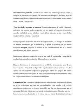 181
Sistema nervioso periférico. Consiste en una extensa red, extendida por todo el cuerpo y
que pone en comunicación el exterior con el sistema central simpático (visceral), lo que da
la sensibilidad periférica. El sistema nervioso de los insectos tiene muchas modificaciones
según a la clase a que pertenece.
Tipos de células nerviosas o neuronas. Son alargadas, capaz de recibir y transmitir
estímulos, las neuronas están compuestas por tres partes: el neurocito (corpúsculos
centrales nucleados), un eje cilíndrico o axón (fibras eferentes) y una o mas fibrillas
receptoras (fibras aferentes = dendritas).
El insecto percibe la sensación por medio de un pelo externo y lo lleva por el axón hasta
las fibrillas transmisoras que se ramifican y se ponen en contacto con las fibrillas
receptoras (Sinapsis), impulsan el estimulo de una célula nerviosa a otra en el sistema
central para enviarle al lugar necesario.
Las neuronas típicas son características por el alto grado de excitabilidad y capacidad de
conducción de estímulos, la dirección del estimulo no es reversible.
Sinapsis. Consiste en el entrecruzamiento de las fibrillas terminales del axón de una
neurona a otra a través de la cual pasan los impulsos de una célula nerviosa a otra. Las
sipnasis de cada segmento corporal se agrupan para formar los ganglios del sistema
nervioso central, este sistema global de conexiones coordina respuestas en diferentes partes
del cuerpo con los estímulos recibidos en un solo punto.
Clases de neurona. Existen tres tipos de neuronas fundamentales: sensoriales, encargadas
de recibir los impulsos nerviosos, los cuerpos bipolares están situados en la periferia
estrechamente unidos con los órganos sensoriales que inervan; interneuronas, que se
encuentran dentro del sistema nervioso central, son mediadoras entre el impulso nervioso y
la respuesta; motoras, localizadas en el sistema nervioso central donde sale un axón que
 