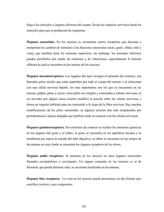 182
llega a los músculos y órganos efectores del cuerpo, llevan los impulsos nerviosos hasta los
músculos para que se produzcan las respuestas.
Órganos sensoriales. En los insectos se encuentran ciertos receptores que detectan o
interpretan los cambios de estímulos a las funciones sensoriales (tacto, gusto. olfato, oído y
vista), que también tiene los animales superiores; sin embargo, los animales inferiores
pueden percibirlos por medio de contactos y de vibraciones, especialmente la función
olfatoria la cual se encuentra en las antenas de los insectos.
Órganos mecanoreceptores. Los órganos del tacto recogen el estímulo del contacto, son
llamados pelos táctiles que están repartidos por todo el cuerpo del insecto y se relacionan
con una célula nerviosa bipolar, los mas importantes son los que se encuentran en las
antenas, palpos, patas y cercus, estos pelos son simples y conectados a células nerviosas, al
ser movidos por alguna causa exterior modifica la presión sobre las células nerviosas y
forma un impulso definido para ser trasmitido a lo largo de la fibra nerviosa. Hay muchas
modificaciones de los pelos sensoriales, en algunos insectos han sido remplazados por
protuberancias o placas delgadas que también están en contacto con las células nerviosas.
Órganos quimiorreceptores. Por estímulos de contacto se reciben los estímulos químicos
en los órganos del gusto y el olfato, el gusto se encuentra en los apéndices bucales y la
membrana que tapiza la entrada del tubo digestivo; el olfato se encuentra en los artejos de
las antenas en cuyo fondo se encuentra los órganos receptores de los olores.
Órganos audio receptores. Se presenta en los insectos en unos órganos sensoriales
llamados escolopóforos o escolopales. Un órgano constante en los insectos es el de
Jhonston, que puede llamarse oído, se encuentra localizado en las antenas.
Órganos foto receptores. La vista en los insectos puede presentarse en dos formas ojos
sencillos (ocelos) y ojos compuestos.
 