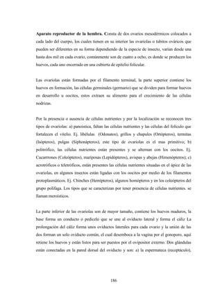 186
Aparato reproductor de la hembra. Consta de dos ovarios mesodérmicos colocados a
cada lado del cuerpo, los cuales tienen en su interior las ovariolas o tubitos ováricos que
pueden ser diferentes en su forma dependiendo de la especie de insecto, varían desde una
hasta dos mil en cada ovario, comúnmente son de cuatro a ocho, es donde se producen los
huevos, cada uno encerrado en una cubierta de epitelio folicular.
Las ovariolas están formadas por el filamento terminal, la parte superior contiene los
huevos en formación, las células germinales (germario) que se dividen para formar huevos
en desarrollo u oocitos, estos extraen su alimento para el crecimiento de las células
nodrizas.
Por la presencia o ausencia de células nutrientes y por la localización se reconocen tres
tipos de ovariolas: a) panoistica, faltan las células nutrientes y las células del folículo que
fortalecen el vitelio. Ej. libélulas (Odonatos), grillos y chapules (Ortópteros), termitas
(Isópteros), pulgas (Siphonápteros), este tipo de ovariolas es el mas primitivo; b)
politrófico, las células nutrientes están presentes y se alternan con los oocitos. Ej.
Cucarrrones (Coleópteros), mariposas (Lepidópteros), avispas y abejas (Himenópteros); c)
acrotróficos o teletróficos, están presentes las células nutrientes situadas en el ápice de las
ovariolas, en algunos insectos están ligadas con los oocitos por medio de los filamentos
protoplasmáticos. Ej. Chinches (Hemípteros), algunos homópteros y en los coleópteros del
grupo polífaga. Los tipos que se caracterizan por tener presencia de células nutrientes. se
llaman meroísticos.
La parte inferior de las ovariolas son de mayor tamaño, contiene los huevos maduros, la
base forma un conducto o pedicelo que se une al oviducto lateral y forma el cáliz La
prolongación del cáliz forma unos oviductos laterales para cada ovario y la unión de las
dos forman un solo oviducto común, el cual desemboca a la vagina por el gonoporo, aquí
retiene los huevos y están listos para ser puestos por el ovipositor externo. Dos glándulas
están conectadas en la pared dorsal del oviducto y son: a) la espermateca (receptáculo),
 