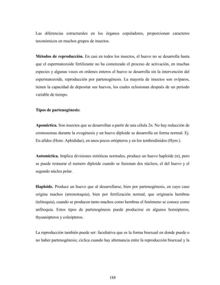 188
Las diferencias estructurales en los órganos copuladores, proporcionan caracteres
taxonómicos en muchos grupos de insectos.
Métodos de reproducción. En casi en todos los insectos, el huevo no se desarrolla hasta
que el espermatozoide fertilizante no ha comenzado el proceso de activación, en muchas
especies y algunas veces en ordenes enteros el huevo se desarrolla sin la intervención del
espermatozoide, reproducción por partenogénesis. La mayoría de insectos son ovíparos,
tienen la capacidad de depositar sus huevos, los cuales eclosionan después de un periodo
variable de tiempo.
Tipos de partenogénesis:
Apomictica. Son insectos que se desarrollan a partir de una célula 2n. No hay reducción de
cromosomas durante la ovogénesis y un huevo diploide se desarrolla en forma normal. Ej.
En afidos (Hom: Aphididae), en unos pocos ortópteros y en los tenthredinidos (Hym.).
Automictica. Implica divisiones mitóticas normales, produce un huevo haploide (n), pero
se puede restaurar el numero diploide cuando se fusionan dos núcleos, el del huevo y el
segundo núcleo polar.
Haploide. Produce un huevo que al desarrollarse, bien por partenogénesis, en cuyo caso
origina machos (arrenotoquia), bien por fertilización normal, que originaria hembras
(telitoquia), cuando se producen tanto machos como hembras el fenómeno se conoce como
anfitoquia. Estos tipos de partenogénesis puede producirse en algunos homópteros,
thysanópteros y coleópteros.
La reproducción también puede ser: facultativa que es la forma bisexual en donde puede o
no haber partenogénesis; cíclica cuando hay alternancia entre la reproducción bisexual y la
 