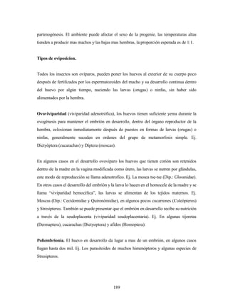 189
partenogénesis. El ambiente puede afectar el sexo de la progenie, las temperaturas altas
tienden a producir mas machos y las bajas mas hembras, la proporción esperada es de 1:1.
Tipos de oviposicion.
Todos los insectos son ovíparos, pueden poner los huevos al exterior de su cuerpo poco
después de fertilizados por los espermatozoides del macho y su desarrollo continua dentro
del huevo por algún tiempo, naciendo las larvas (orugas) o ninfas, sin haber sido
alimentados por la hembra.
Ovoviviparidad (viviparidad adenotrófica), los huevos tienen suficiente yema durante la
ovogénesis para mantener el embrión en desarrollo, dentro del órgano reproductor de la
hembra, eclosionan inmediatamente después de puestos en formas de larvas (orugas) o
ninfas, generalmente suceden en ordenes del grupo de metamorfosis simple. Ej.
Dictyóptera (cucarachas) y Díptera (moscas).
En algunos casos en el desarrollo ovoviparo los huevos que tienen corión son retenidos
dentro de la madre en la vagina modificada como útero, las larvas se nutren por glándulas,
este modo de reproducción se llama adenotrofico. Ej. La mosca tse-tse (Dip.: Glossnidae).
En otros casos el desarrollo del embrión y la larva lo hacen en el homocele de la madre y se
llama “viviparidad hemocélica”, las larvas se alimentan de los tejidos maternos. Ej.
Moscas (Dip.: Cecidomidae y Quironómidae), en algunos pocos cucarrones (Coleópteros)
y Stresipteros. También se puede presentar que el embrión en desarrollo recibe su nutrición
a través de la seudoplacenta (viviparidad seudoplacentaria). Ej. En algunas tijeretas
(Dermaptera), cucarachas (Dictyoptera) y afidos (Homoptera).
Poliembrionía. El huevo en desarrollo da lugar a mas de un embrión, en algunos casos
llegan hasta dos mil. Ej. Los parasitoides de muchos himenópteros y algunas especies de
Stresipteros.
 