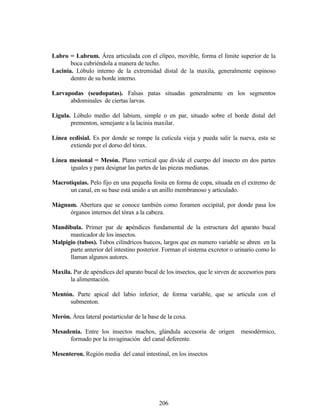 206
Labro = Labrum. Área articulada con el clípeo, movible, forma el límite superior de la
boca cubriéndola a manera de techo.
Lacinia. Lóbulo interno de la extremidad distal de la maxila, generalmente espinoso
dentro de su borde interno.
Larvapodas (seudopatas). Falsas patas situadas generalmente en los segmentos
abdominales de ciertas larvas.
Ligula. Lóbulo medio del labium, simple o en par, situado sobre el borde distal del
prementon, semejante a la lacinia maxilar.
Línea ecdisial. Es por donde se rompe la cutícula vieja y pueda salir la nueva, esta se
extiende por el dorso del tórax.
Línea mesional = Mesón. Plano vertical que divide el cuerpo del insecto en dos partes
iguales y para designar las partes de las piezas medianas.
Macrotiquias. Pelo fijo en una pequeña fosita en forma de copa, situada en el extremo de
un canal, en su base está unido a un anillo membranoso y articulado.
Mágnum. Abertura que se conoce también como foramen occipital, por donde pasa los
órganos internos del tórax a la cabeza.
Mandíbula. Primer par de apéndices fundamental de la estructura del aparato bucal
masticador de los insectos.
Malpigio (tubos). Tubos cilíndricos huecos, largos que en numero variable se abren en la
parte anterior del intestino posterior. Forman el sistema excretor o urinario como lo
llaman algunos autores.
Maxila. Par de apéndices del aparato bucal de los insectos, que le sirven de accesorios para
la alimentación.
Mentón. Parte apical del labio inferior, de forma variable, que se articula con el
submenton.
Merón. Área lateral postarticular de la base de la coxa.
Mesadenia. Entre los insectos machos, glándula accesoria de origen mesodérmico,
formado por la invaginación del canal deferente.
Mesenteron. Región media del canal intestinal, en los insectos
 