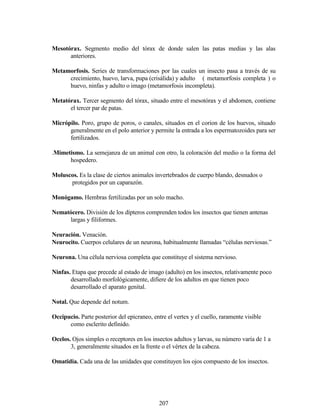 207
Mesotórax. Segmento medio del tórax de donde salen las patas medias y las alas
anteriores.
Metamorfosis. Series de transformaciones por las cuales un insecto pasa a través de su
crecimiento, huevo, larva, pupa (crisálida) y adulto ( metamorfosis completa ) o
huevo, ninfas y adulto o imago (metamorfosis incompleta).
Metatórax. Tercer segmento del tórax, situado entre el mesotórax y el abdomen, contiene
el tercer par de patas.
Micrópilo. Poro, grupo de poros, o canales, situados en el corion de los huevos, situado
generalmente en el polo anterior y permite la entrada a los espermatozoides para ser
fertilizados.
.Mimetismo. La semejanza de un animal con otro, la coloración del medio o la forma del
hospedero.
Moluscos. Es la clase de ciertos animales invertebrados de cuerpo blando, desnudos o
protegidos por un caparazón.
Monógamo. Hembras fertilizadas por un solo macho.
Nematócero. División de los dípteros comprenden todos los insectos que tienen antenas
largas y filiformes.
Neuración. Venación.
Neurocito. Cuerpos celulares de un neurona, habitualmente llamadas “células nerviosas.”
Neurona. Una célula nerviosa completa que constituye el sistema nervioso.
Ninfas. Etapa que precede al estado de imago (adulto) en los insectos, relativamente poco
desarrollado morfológicamente, difiere de los adultos en que tienen poco
desarrollado el aparato genital.
Notal. Que depende del notum.
Occipucio. Parte posterior del epicraneo, entre el vertex y el cuello, raramente visible
como esclerito definido.
Ocelos. Ojos simples o receptores en los insectos adultos y larvas, su número varía de 1 a
3, generalmente situados en la frente o el vértex de la cabeza.
Omatidia. Cada una de las unidades que constituyen los ojos compuesto de los insectos.
 