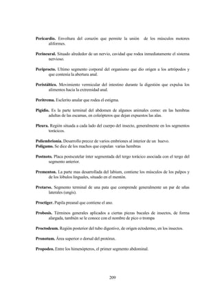 209
Pericardio. Envoltura del corazón que permite la unión de los músculos motores
aliformes.
Perineural. Situado alrededor de un nervio, cavidad que rodea inmediatamente el sistema
nervioso.
Periprocto. Ultimo segmento corporal del organismo que dio origen a los artrópodos y
que contenía la abertura anal.
Peristáltico. Movimiento vermicular del intestino durante la digestión que expulsa los
alimentos hacia la extremidad anal.
Peritrema. Esclerito anular que rodea el estigma.
Pigidio. Es la parte terminal del abdomen de algunos animales como: en las hembras
adultas de las escamas, en coleópteros que dejan expuestos las alas.
Pleura. Región situada a cada lado del cuerpo del insecto, generalmente en los segmentos
torácicos.
Poliembrionía. Desarrollo precoz de varios embriones al interior de un huevo.
Polígamo. Se dice de los machos que copulan varias hembras
Postnoto. Placa postscutelar ínter segmentada del tergo torácico asociada con el tergo del
segmento anterior.
Prementon. La parte mas desarrollada del labium, contiene los músculos de los palpos y
de los lóbulos linguales, situado en el mentón.
Pretarso. Segmento terminal de una pata que comprende generalmente un par de uñas
laterales (ungís).
Proctiger. Papila preanal que contiene el ano.
Probosis. Términos generales aplicados a ciertas piezas bucales de insectos, de forma
alargada, también se le conoce con el nombre de pico o trompa
Proctodeum. Región posterior del tubo digestivo, de origen ectodermo, en los insectos.
Pronotum. Área superior o dorsal del protórax.
Propodeo. Entre los himenópteros, el primer segmento abdominal.
 