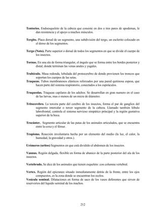 212
Tentorios. Endoesqueleto de la cabeza que consiste en dos o tres pares de apodemas, le
dan resistencia y el apoyo a muchos músculos.
Tergito. Placa dorsal de un segmento, una subdivisión del tergo, un esclerito colocado en
el dorso de los segmentos.
Tergo (Noto). Parte superior o dorsal de todos los segmentos en que se divide el cuerpo de
los insectos.
Tornus. En una ala de forma triangular, el ángulo que se forma entre los bordes posterior y
distal, donde terminan las venas anales y yugales.
Trabéculo. Masa redonda, lobulada del protocerebro de donde provienen los troncos que
soportan los cuerpos de las setas.
Traqueas. Tubos membranosos elásticos reforzados por una pared quitinosa espesa, que
hacen parte del sistema respiratorio, conectados a los espiráculos.
Traqueolas. Traqueas capilares de los adultos. Se desarrollan en gran numero en el caso
de las larvas, mas o menos de un micra de diámetro.
Tritocerebro. La tercera parte del cerebro de los insectos, forma el par de ganglios del
segmento intercalar o tercer segmento de la cabeza. Llamado también lóbulo
labrofrontal, controla el sistema nervioso simpático principal y la región gustativa
superior de la boca.
Trocánter. Segmento articular de las patas de los animales articulados, que se encuentra
entre la coxa y el fémur.
Tropismo. Reacción involuntaria hecha por un elemento del medio (la luz, el calor, la
humedad, la gravedad y otros.).
Urómeros (uritos) Segmentos en que está dividido el abdomen de los insectos.
Vannus. Región delgada, flexible en forma de abanico de la parte posterior del ala de los
insectos.
Vertebrado. Se dice de los animales que tienen esqueleto con columna vertebral.
Vertex. Región del epicraneo situado inmediatamente detrás de la frente, entre los ojos
compuestos, es la zona donde se encuentran los ocelos.
Vesícula seminal. Dilataciones en forma de saco de los vasos deferentes que sirven de
reservorios del liquido seminal de los machos.
 