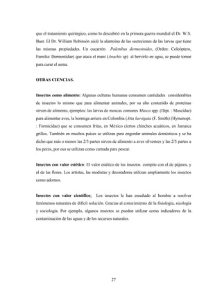 27
que el tratamiento quirúrgico, como lo descubrió en la primera guerra mundial el Dr. W.S.
Baer. El Dr. William Robinsón aisló la alantoína de las secreciones de las larvas que tiene
las mismas propiedades. Un cucarrón Palembus dermestoides, (Orden: Coleóptero,
Familia: Dermestidae) que ataca el maní (Arachis sp) al hervirlo en agua, se puede tomar
para curar el asma.
OTRAS CIENCIAS.
Insectos como alimento: Algunas culturas humanas consumen cantidades considerables
de insectos lo mismo que para alimentar animales, por su alto contenido de proteínas
sirven de alimento, ejemplos: las larvas de moscas comunes Musca spp. (Dipt. : Muscidae)
para alimentar aves, la hormiga arriera en Colombia (Atta laevigata (F. Smith) (Hymenopt.
: Formicidae) que se consumen fritas, en México ciertos chinches acuáticos, en Jamaica
grillos. También en muchos países se utilizan para engordar animales domésticos y se ha
dicho que más o menos las 2/3 partes sirven de alimento a aves silvestres y las 2/5 partes a
los peces, por eso se utilizan como carnada para pescar.
Insectos con valor estético: El valor estético de los insectos compite con el de pájaros, y
el de las flores. Los artistas, las modistas y decoradores utilizan ampliamente los insectos
como adornos.
Insectos con valor científico: Los insectos le han enseñado al hombre a resolver
fenómenos naturales de difícil solución. Gracias al conocimiento de la fisiología, sicología
y sociología. Por ejemplo, algunos insectos se pueden utilizar como indicadores de la
contaminación de las aguas y de los recursos naturales.
 