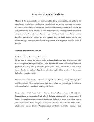 28
INSECTOS: BENEFICOS Y DAÑINOS.
Muchos de los escritos sobre los insectos hablan de su acción dañina, sin embargo no
necesitamos estudiarlos profundamente para distinguir que existen otros que son amigos
del hombre, hasta hace poco tiempo los agricultores no sabían que muchos de los insectos
que permanecían en sus cultivos, no sólo eran inofensivos, sino que estaban dedicados a
controlar a los dañinos. Esto nos lleva a deducir la falta de conocimiento de los insectos
benéficos que viven a expensas de otras especies. Hoy en día el hombre maneja gran
número de especies que reportan beneficios generales, a los vegetales, animales y aún al
hombre.
Acciones benéficas de los insectos.
Productos útiles elaborados por los insectos:
El que más se conoce por muchos siglos es la producción de seda, insectos muy poco
conocidos, pero sí por su producción del hilo (secreción) de seda con el cual los fabricantes
producen telas muy finas y apreciadas por la gente. Esto fundamenta la cría de este
insecto Bombys mori (Linn) (Lep: Bombycidae) en Japón, China y países de Europa, en
Colombia es muy incipiente.
Otro producto esencial en la vida humana es la producción de miel y cera por la abeja, Apis
mellifera (Linne), (Hym: Apidae), una abeja debe realizar un promedio de 120 viajes a
visitar muchas flores para lograr un kilogramo de miel.
La goma laca o "shellac" secretada por el insecto Laccifer (Tachardia) lacca (Kerr.) (Hom:
Coccidae), que se encuentra en los árboles de la India, otras especies se encuentran en el
Brasil. Este producto se utiliza para la fabricación de barnices, tintas litográficas, lacas y
otros objetos como discos fonográficos y juguetes. Además, las cochinillas de los cactus,
Dactylopius coccus (Hom: Pseudococcidae) producen colorantes utilizado para
 