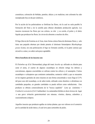 29
cosméticos, coloración de bebidas, pasteles, dulces y en medicina; este colorante ha sido
reemplazado hoy en día por sintéticos.
Por la acción de los polinizadores se fertilizan las flores, sin la cual no sería posible la
formación del fruto y de la semilla para obtener abundante producción agrícola. Los
insectos reconocen las flores por sus colores, su olor y su corola, el polen y el dulce
líquido que producen las flores, les sirven de alimento a muchos de ellos.
El higo (breva) de Esmirna en el Asia, tiene forma cónica llena de diminutas flores y solo
tiene una pequeña abertura por donde penetra el diminuto himenóptero Blasthophaga
psenes (Linn), sin esta polinización el higo no formaría semilla, ni la parte carnosa que
envuelve a estas y su sabor sería poco agradable.
Otros beneficios de los insectos son:
El Palembus sp. (Col: Dermestidae), plaga del maní Arachis sp. utilizado en efusión para
curar el asma, el cuerno de algunos escarabajos en efusión mitiga los dolores y
convulsiones, algunos coccinélidos se utilizan contra los cólicos y el sarampión. Ciertos
escarabajos o coleopteros que contienen cantaradina, sustancia volátil y que se encuentra
en los órganos genitales de estos insectos en una forma concentrada a veces llega al 2.5%
del peso seco del escarabajo, es de sabor ácido, utilizado como diurético o afrodisíaco en
cantidades pequeñas, en grandes cantidades se puede utilizar como subefaciente. Este
producto se obtiene comercialmente de la "mosca española" Lytta sp (sinónimo =
Contharis) vesicatoria (Col: Cantharidae). La cantaradina bebida en dosis tóxicas da lugar
a una grave irritación gastrointestinal con náuseas, vómitos, diarrea, calambres y
ocasionalmente colapsos.
Aquellos insectos que producen agallas en ciertas plantas, que son valiosos en el comercio
por la cantidad de ácido tánico, el cual sirve para curtiembre de pieles.
 