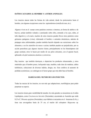 33
DAÑOS CAUSADOS AL HOMBRE Y A OTROS ANIMALES.
Los insectos atacan todas las formas de vida animal, desde los protozoarios hasta el
hombre, con algunas excepciones como los equinodermos (estrella de mar, etc.).
Algunos viven en el cuerpo como parásitos externos o internos, en forma de adultos o de
huevos, actúan también volando o caminando sobre ellos, entrando a los ojos, oídos, al
tubo digestivo y a la nariz, muchos de estos insectos pueden llevar otros parásitos como
gérmenes patógenos (virus), infectando al hombre o animales domésticos, además de
propagar estas enfermedades, pueden también hacerlo dejando sus secreciones sobre los
alimentos, o en los utensilios de mesa o cocina; también pueden ser perjudiciales, por su
acción ponzoñosa que algunos insectos tienen, principalmente en los himenópteros del
grupo aculeata; otros lo hacen por medio de sus pelos urticantes, con el aparato bucal,
aplicando a la piel sustancias cáusticas o corrosivas.
Hay insectos que también destruyen, o deprecian los productos almacenados, y otros
materiales que el hombre posee, incluyendo ropa, muebles, toda clase de maderas, cables
telefónicos, colecciones de diversas índoles, drogas, etc. Esto conlleva al aumento de
perdidas económicas y se catalogan en el tercer grupo que más daño hace al hombre.
RAREZAS DEL MUNDO DE LOS INSECTOS.
Todas las rarezas de los insectos, no son más que adaptaciones, morfológicas para poder
perpetuar su especie.
Los insectos tienen gran variabilidad de tamaño, los más grandes se encuentran en el orden
Lepidoptera, como Coscinoscera hercules (Noctuidae), encontrada en Australia que mide
0.25 m2
; Thisania agripina (Noctuidae), cuyo hábitat se encuentra en el Amazona (S.A), y
tiene una envergadura hasta de 35 cm, el macho del coleoptero Megasoma sp.
 