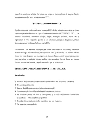 37
superficie para tomar el aire, hay otros que viven en barro caliente de algunas fuentes
termales que pueden tener temperaturas de 37°C.
DIFERENCIANDO LOS INSECTOS.
En el reino animal los invertebrados ocupan el 80% de los animales conocidos, no tienen
esqueleto, pero han formado un caparazón externo denominado EXOESQUELETO. Los
insectos (cucarrones, mariposas, avispas, abejas, hormigas, escamas, piojos, etc. ),
representan el 74% y aquellos que no lo son (alacranes, cangrejos, langostinos, arañas,
ácaros, caracoles, lombrices, babosas, etc.) el 6%.
Los insectos los podemos distinguir por ciertas características de forma y fisiología.
Tienen el cuerpo dividido en tres partes (cabeza, tórax y abdomen). Los insectos adultos
tienen tres pares de patas, uno o dos pares de alas, en algunos primitivos carecen de estas,
otros que viven en sociedad pierden también estos apéndices. En esta forma hay muchas
diferencias entre los insectos y aquellos animales que se le asemejan.
DIFERENCIAS ENTRE VERTEBRADOS E INVERTEBRADOS.
Vertebrados.
1. Presencia del notocordio (sustituida en el estado adulto por la columna vertebral)
2. Proceso de cefalización
3. Cuerpo dividido en segmentos (cabeza, tronco y cola).
4. Tegumento o piel con diferenciaciones córneas de varios tipos
5. El esqueleto puede ser óseo o cartilaginoso y a veces encontramos formaciones
esqueléticas cutáneas (dermoesqueleto)
6. Reproducción sexual, excepto los mamíferos que son vivíparos.
7. No presentan metamorfosis
 