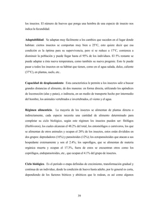 39
los insectos. El número de huevos que ponga una hembra de una especie de insecto nos
indica la fecundidad.
Adaptabilidad. Se adaptan muy fácilmente a los cambios que suceden en el lugar donde
habitan: ciertos insectos se comportan muy bien a 25°C, esto quiere decir que esa
condición es la óptima para su supervivencia, pero si se reduce a 17°C, comienza a
disminuir la población y puede llegar hasta el 95% de los individuos. El 5% restante se
puede adaptar a ésta nueva temperatura, como también su nueva progenie. Esto le puede
pasar a todos los insectos en su hábitat que tienen, como en el agua salada, dulce, caliente
(37°C), en plantas, suelo, etc..
Capacidad de desplazamiento: Esta característica le permite a los insectos salir a buscar
grandes distancias el alimento, de dos maneras: en forma directa, utilizando los apéndices
de locomoción (alas y patas), o indirecta, en un medio de transporte hecho por intermedio
del hombre, los animales vertebrados e invertebrados, el viento y el agua.
Régimen alimenticio. La mayoría de los insectos se alimentan de plantas directa o
indirectamente, cada especie necesita una cantidad de alimento determinado para
completar su ciclo biológico, según este régimen los insectos pueden ser: fitófagos
(Herbívoros), los cuales alcanzan el 48.2% del total, los entomófagos o carnívoros, los que
se alimentan de otros animales y ocupan el 28% de los insectos, estos están divididos en
dos grupos: depredadores (16%) y parasitoides (12%); los ectoparasitoides que atacan a sus
hospedante externamente y son el 2.4%; los saprofágos, que se alimentan de materia
orgánica muerta y ocupan el 17.3%, fuera de estos se encuentran otros como los
coprófagos, endoparasitoides, etc., que ocupan el 4.1% del grupo de insectos.
Ciclo biológico. Es el período o etapa definidas de crecimiento, transformación gradual y
continua de un individuo, desde la condición de huevo hasta adulto, por lo general es corta,
dependiendo de los factores bióticos y abióticos que lo rodean, es así como algunos
 