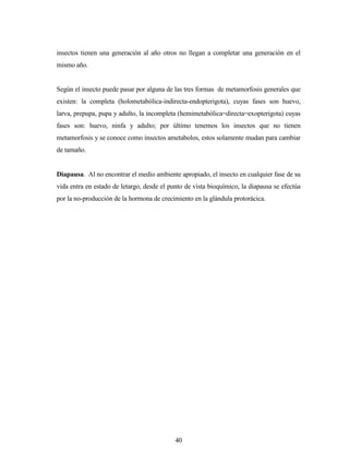 40
insectos tienen una generación al año otros no llegan a completar una generación en el
mismo año.
Según el insecto puede pasar por alguna de las tres formas de metamorfosis generales que
existen: la completa (holometabólica-indirecta-endopterigota), cuyas fases son huevo,
larva, prepupa, pupa y adulto, la incompleta (hemimetabólica=directa=exopterigota) cuyas
fases son: huevo, ninfa y adulto; por último tenemos los insectos que no tienen
metamorfosis y se conoce como insectos ametabolos, estos solamente mudan para cambiar
de tamaño.
Diapausa. Al no encontrar el medio ambiente apropiado, el insecto en cualquier fase de su
vida entra en estado de letargo, desde el punto de vista bioquímico, la diapausa se efectúa
por la no-producción de la hormona de crecimiento en la glándula protorácica.
 