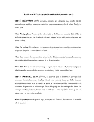 48
CLASIFICACION DE LOS INVERTEBRADOS (Filas y Clases).
FILUM PROTOZOO. 30.000 especies, animales de estructura muy simple, hábitat
generalmente acuático, pueden ser parásitos, se trasladan por medio de cilias, flagelos y
falsos pies.
Clase Mastigophora: Pueden ser los más primitivos de filum, son causantes de la sífilis, la
enfermedad del sueño, mal de chagas; algunos pueden producir bioluminiscencia en los
mares cálidos.
Clase Sarcodina: Son patógenos y productores de disentería, son conocidos como amebas,
se pueden enquistar en una cápsula calcárea.
Clase Sporozoa: todos son parásitos, ejemplo: los glóbulos rojos de la sangre humana son
parasitadas por el Plasmodium, causante de la fiebre palúdica.
Clase Ciliada: Son los más numerosos y de organización más elevada, tienen dos tipos de
núcleos celular, uno regula las funciones vegetativas y el otro las reproductivas.
FILUM PORIFERA. 15.000 especies, se conocen con el nombre de esponjas son
animales pluricelulares muy simples, hábitat piso marino; tienen cavidades internas
comunicadas por una serie de canales y poros, se encuentran también en agua dulce, se
alimentan de partículas de alimento que filtran del agua y que succionan por los poros; las
esponjas madres producen larvas, que se adhieren a una superficie nueva y allí se
desarrollan y se convierten en adulta.
Clase Heyactinellidae: Esponjas cuyo esqueleto está formado de espículas de material
silicio o caliza.
 