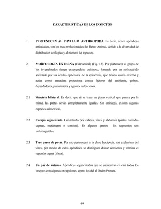 68
CARACTERISTICAS DE LOS INSECTOS
1. PERTENECEN AL PHYLLUM ARTHROPODA. Es decir, tienen apéndices
articulados, son los más evolucionados del Reino Animal, debido a la diversidad de
distribución ecológica y al número de especies.
2. MORFOLOGÍA EXTERNA (Estructural) (Fig. 18). Por pertenecer al grupo de
los invertebrados tienen exoesqueleto quitinoso, formado por un polisacárido
secretado por las células epiteliales de la epidermis, que brinda sostén externo y
actúa como armadura protectora contra factores del ambiente, golpes,
depredadores, parasitoides y agentes infecciosos.
2.1 Simetría bilateral. Es decir, que si se traza un plano vertical que pasara por la
mitad, las partes serían completamente iguales. Sin embargo, existen algunas
especies asimétricas.
2.2 Cuerpo segmentado. Constituido por cabeza, tórax y abdomen (partes llamadas
tagmas, metámeros o somitos). En algunos grupos los segmentos son
indistinguibles.
2.3 Tres pares de patas. Por eso pertenecen a la clase hexápoda, son exclusivas del
tórax, por medio de estos apéndices se distinguen donde comienza y termina el
segundo tagma (tórax).
2.4 Un par de antenas. Apéndices segmentados que se encuentran en casi todos los
insectos con algunas excepciones, como los del el Orden Protura.
 